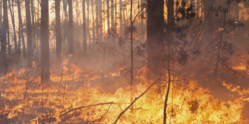 Pollution (iStock)